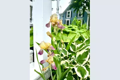 101 Pleasant Street, Dover Foxcroft, ME 04426 - Photo 66
