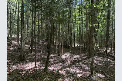 Lot 1 Holley Road, Farmington, ME 04938 - Photo 6