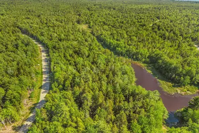 Lot 58 Bufford Drive, Waltham, ME 04605 - Photo 6