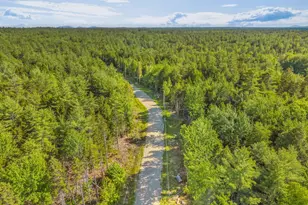 Lot 58 Bufford Dr, Waltham, ME 04605 - Photo 18