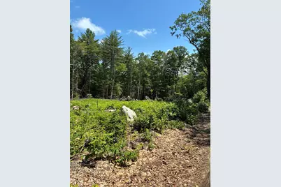 Map7Lot40 Round The Pond Road, Norway, ME 04268 - Photo 4