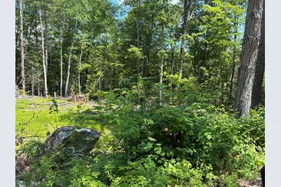 Map7Lot40 Round The Pond Road, Norway, ME 04268 - Photo 6