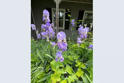 14 Academy Street, Calais, ME 04619 - Photo 12