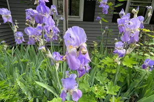 14 Academy St, Calais, ME 04619 - Photo 12