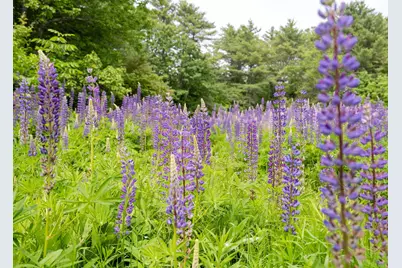 690 Old Portland Road, Brunswick, ME 04011 - Photo 44