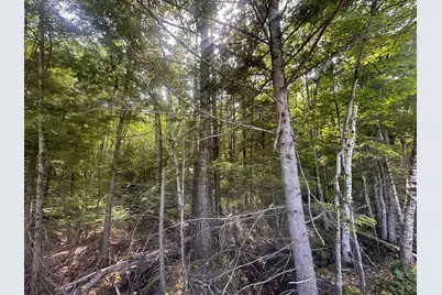 Lot #15 Greenacre Road, Lincolnville, ME 04849 - Photo 20