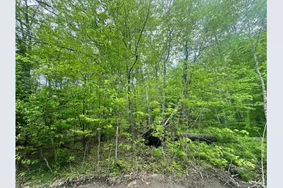 Lot #15 Greenacre Road, Lincolnville, ME 04849 - Photo 18