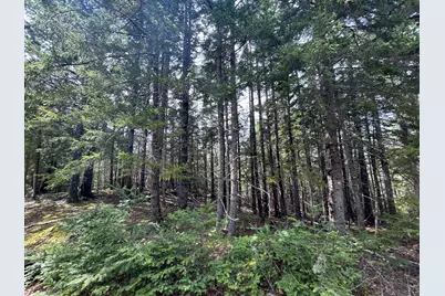 Lot 4 North Shore Road, Lubec, ME 04631 - Photo 4
