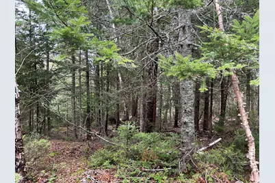 Lot 4 North Shore Road, Lubec, ME 04631 - Photo 6