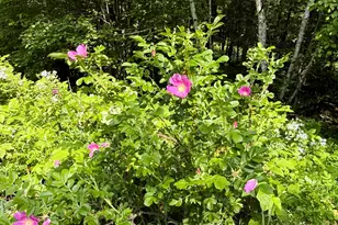 353 Controversy Ln, Waldoboro, ME 04572 - Photo 16