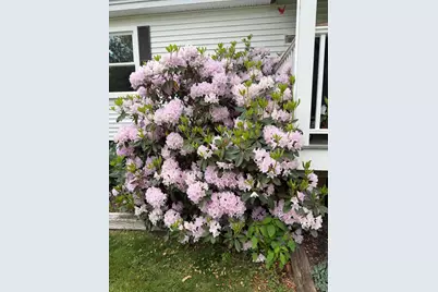 53 Congress Street, Belfast, ME 04915 - Photo 64