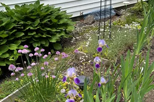 53 Congress St, Belfast, ME 04915 - Photo 62