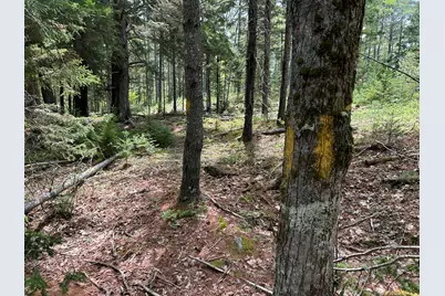 103 Ledges Circle, Waldoboro, ME 04572 - Photo 26