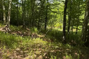 63 Sebasco Rd, Phippsburg, ME 04562 - Photo 24