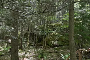 63 Sebasco Rd, Phippsburg, ME 04562 - Photo 20