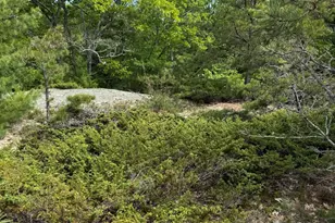 63 Sebasco Rd, Phippsburg, ME 04562 - Photo 36