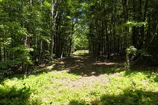 14 S Hatch Hill Rd, Greene, ME 04236 - Photo 52