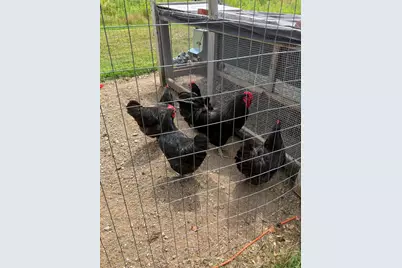 110 US Route #1, Robbinston, ME 04671 - Photo 16