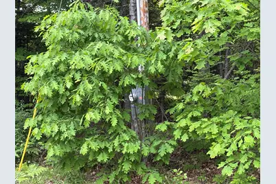 22 Monument Road, Abbot, ME 04406 - Photo 18