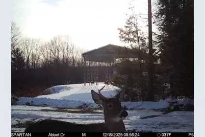 22 Monument Road, Abbot, ME 04406 - Photo 24