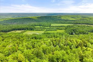 351 Bagley Mountain Rd, Lincoln, ME 04457 - Photo 46