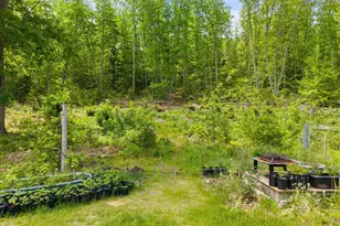 351 Bagley Mountain Rd, Lincoln, ME 04457 - Photo 40