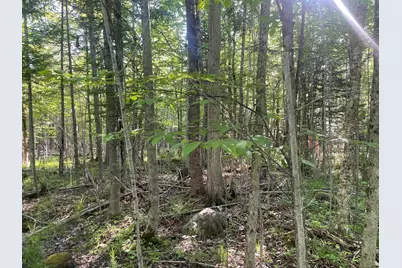 0 Macomber Road, Readfield, ME 04355 - Photo 42