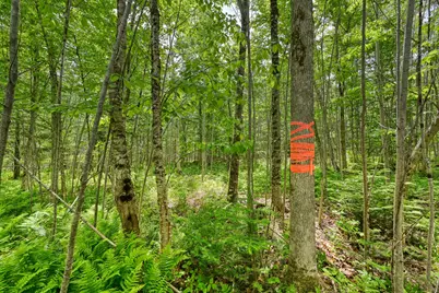 0 Macomber Road, Readfield, ME 04355 - Photo 6