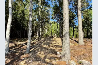 93 Goods Point Road Lot #2, Steuben, ME 04680 - Photo 10