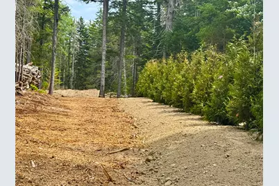 93 Goods Point Road Lot #2, Steuben, ME 04680 - Photo 4