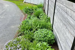 10 School St, Belfast, ME 04915 - Photo 8
