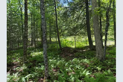Map 21 Lot 11 Bear Lane, Dexter, ME 04930 - Photo 6