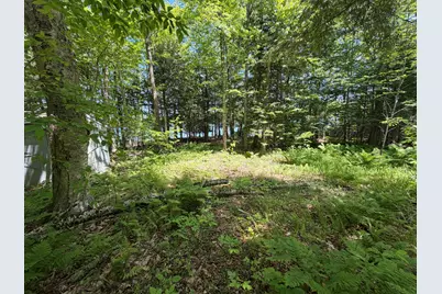 Map 21 Lot 11 Bear Lane, Dexter, ME 04930 - Photo 10