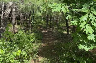 26 Martin Rd, Alna, ME 04535 - Photo 90