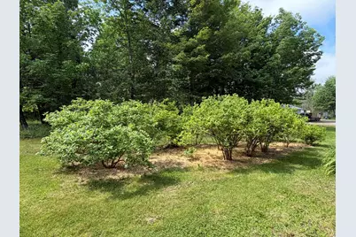 199 Dunn Road, Dexter, ME 04930 - Photo 60