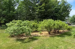 199 Dunn Rd, Dexter, ME 04930 - Photo 60