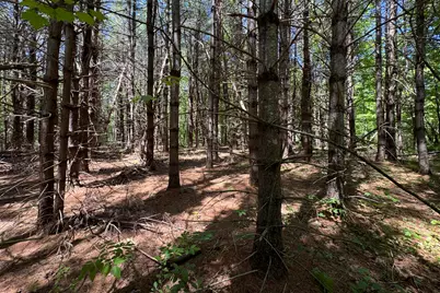 Lot 14 Mountain View Lane, Hope, ME 04847 - Photo 6