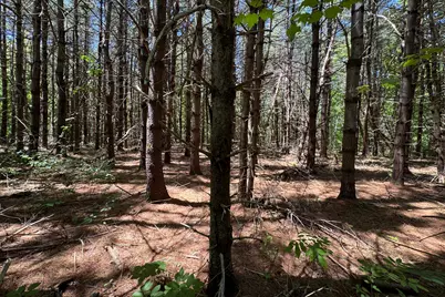 Lot 14 Mountain View Lane, Hope, ME 04847 - Photo 4