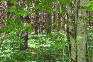 Lot 23 Mountain View Ln, Hope, ME 04847 - Photo 1