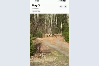 3 Gray Road, Harmony, ME 04942 - Photo 38