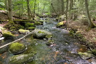 783 Half Township Rd, Lincoln, ME 04457 - Photo 4