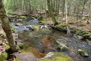 783 Half Township Rd, Lincoln, ME 04457 - Photo 24