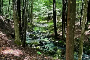 M10 L20 Judkins Rd, Harmony, ME 04942 - Photo 32