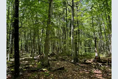 M10 L20 Judkins Road, Harmony, ME 04942 - Photo 42