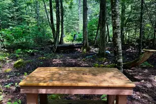 M10 L20 Judkins Rd, Harmony, ME 04942 - Photo 40