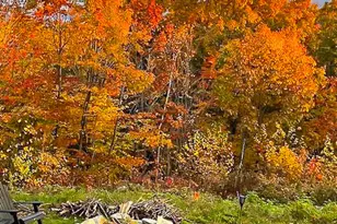 139 Bear Trap Rd, Bridgton, ME 04009 - Photo 92