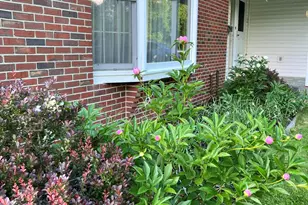 298 Perham St, Farmington, ME 04938 - Photo 48