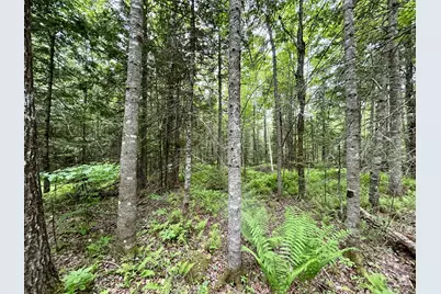 27-3 Marks Road, Albion, ME 04910 - Photo 10