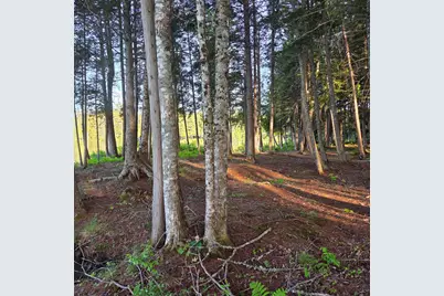 74 Eagle Ridge Road, Lincoln, ME 04457 - Photo 8
