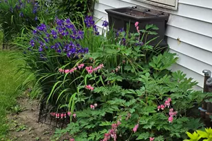 141 Forest Ave, Bangor, ME 04401 - Photo 30